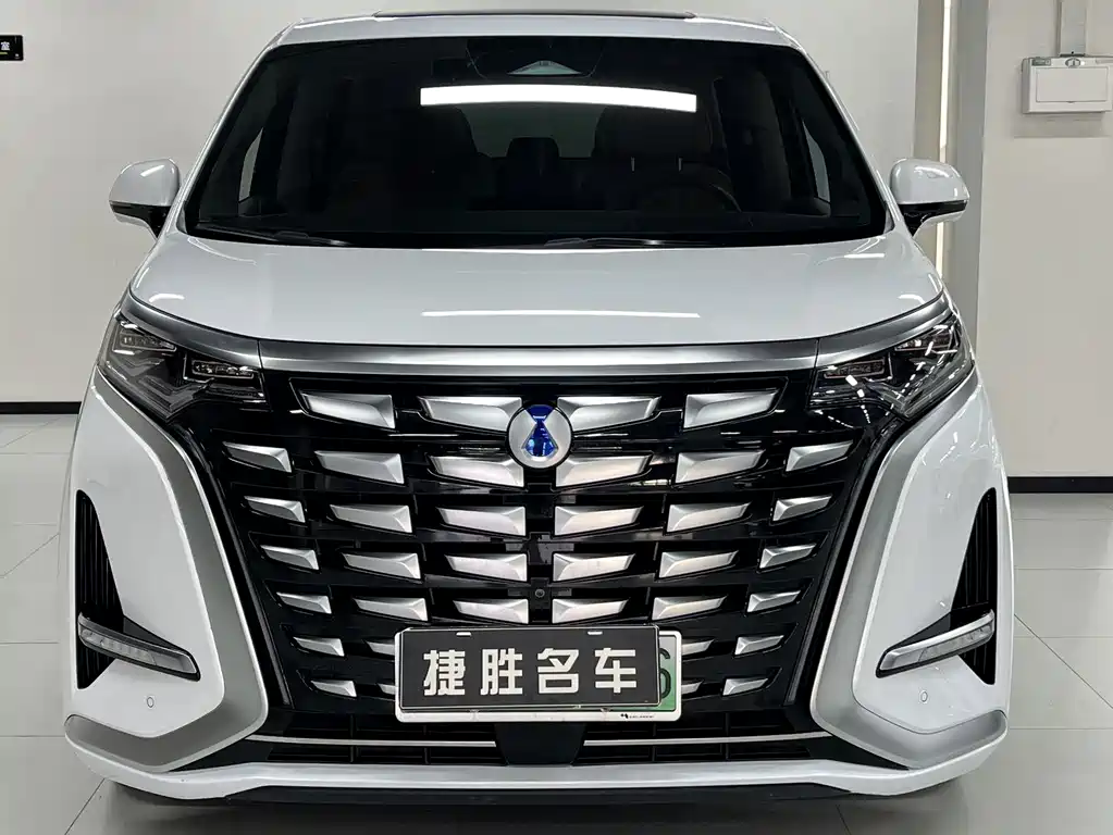 Denza D9