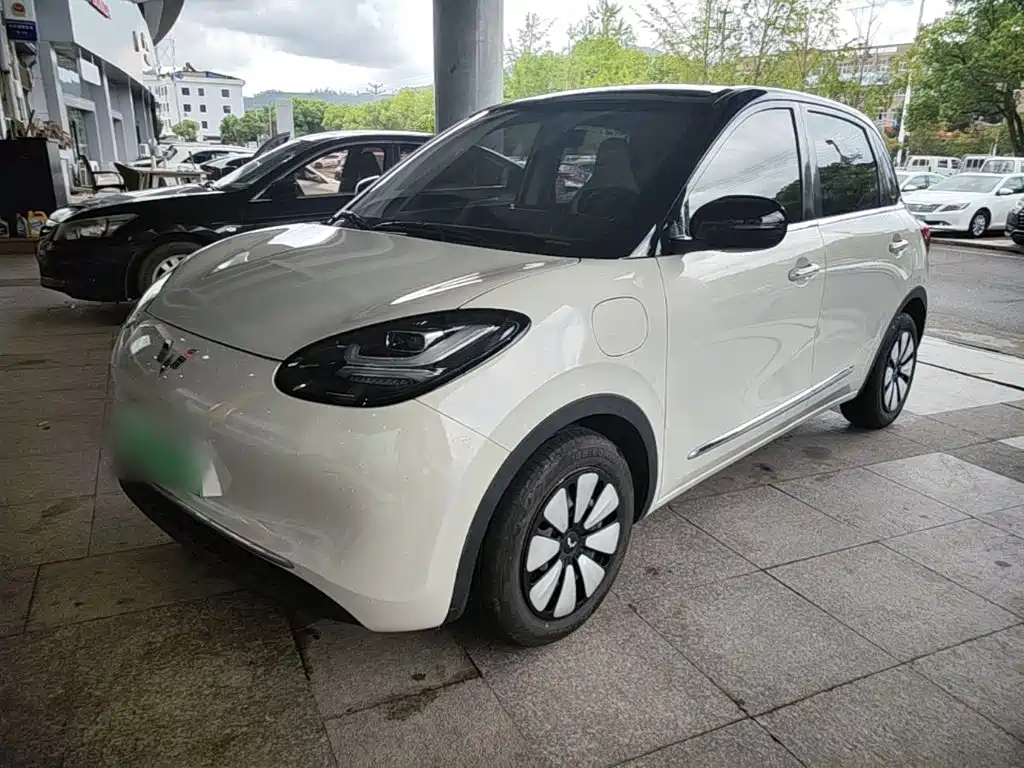 Wuling Binguo