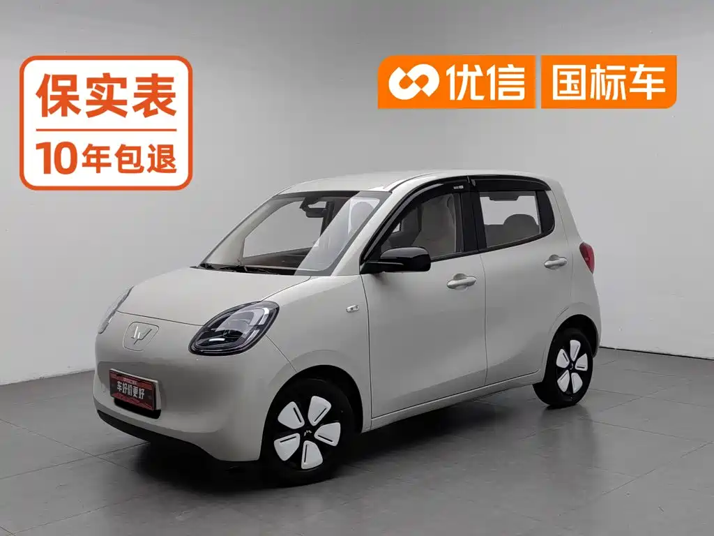 Wuling Mini EV