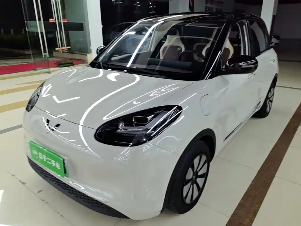 Wuling Binguo