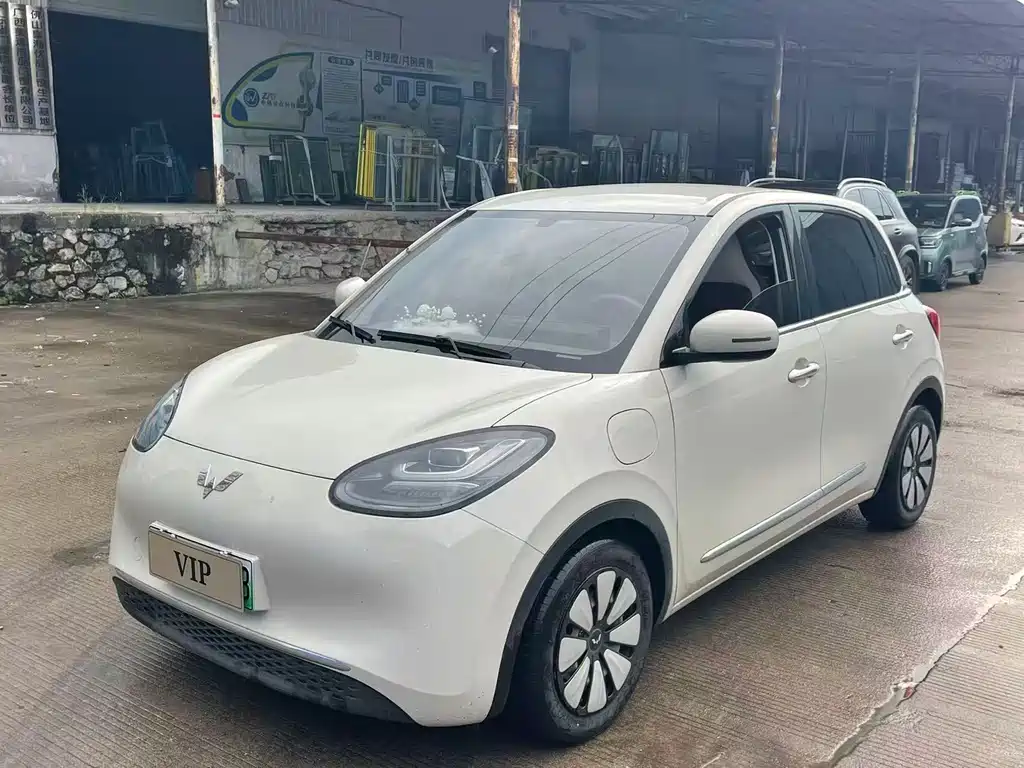 Wuling Binguo