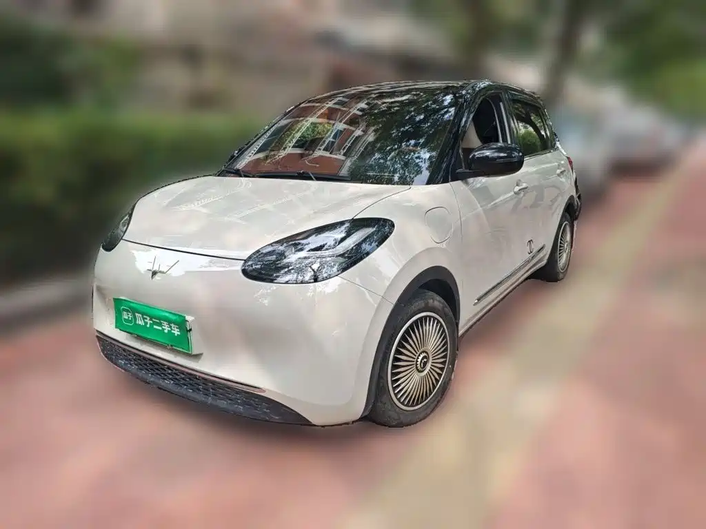 Wuling Binguo