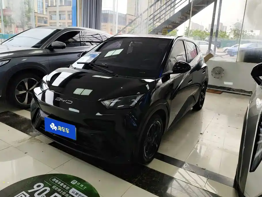 BYD Seagull