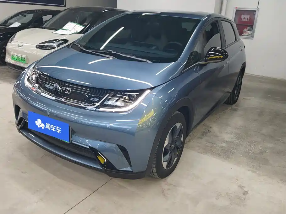 BYD Dolphin