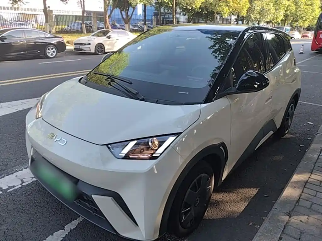 BYD Seagull