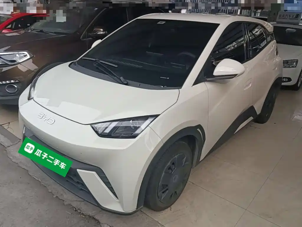 BYD Seagull
