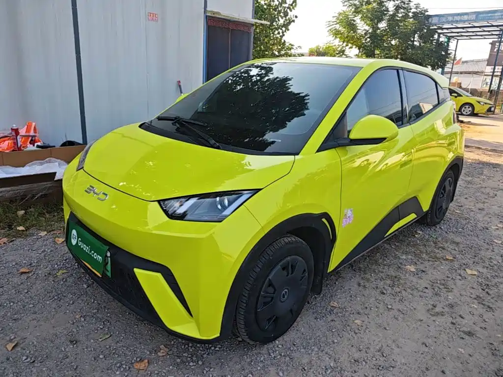 BYD Seagull