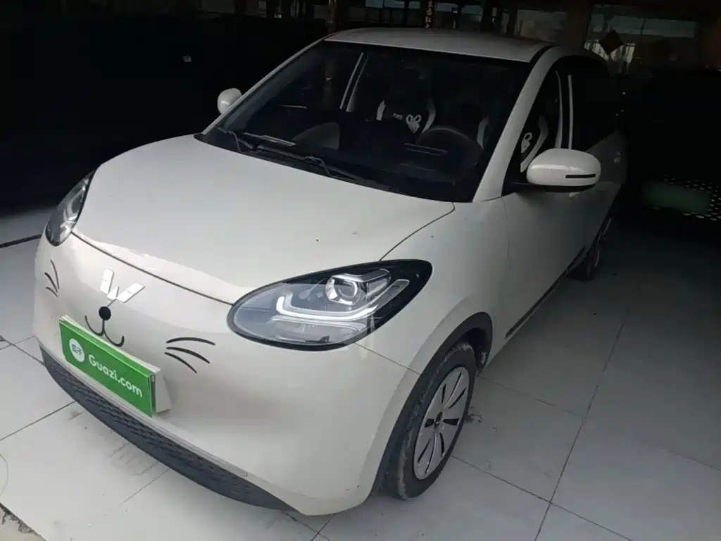 Wuling Binguo