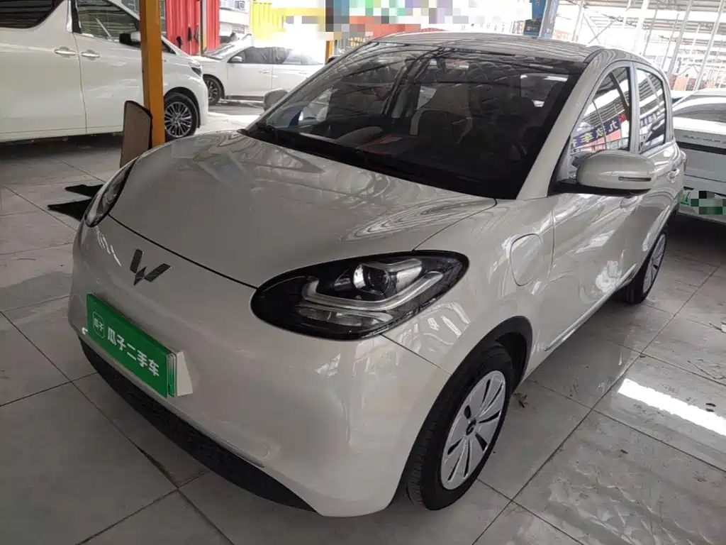 Wuling Binguo