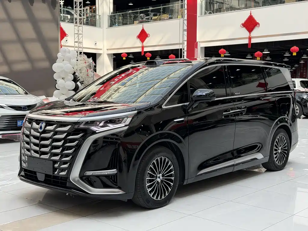 Denza D9