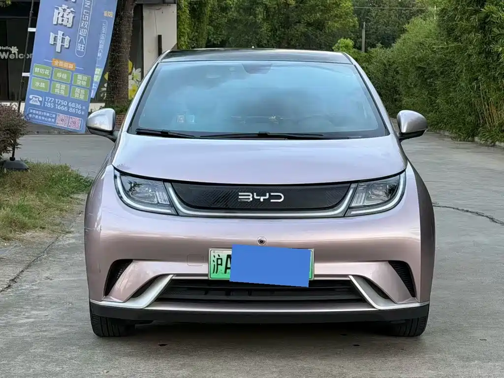 BYD Dolphin