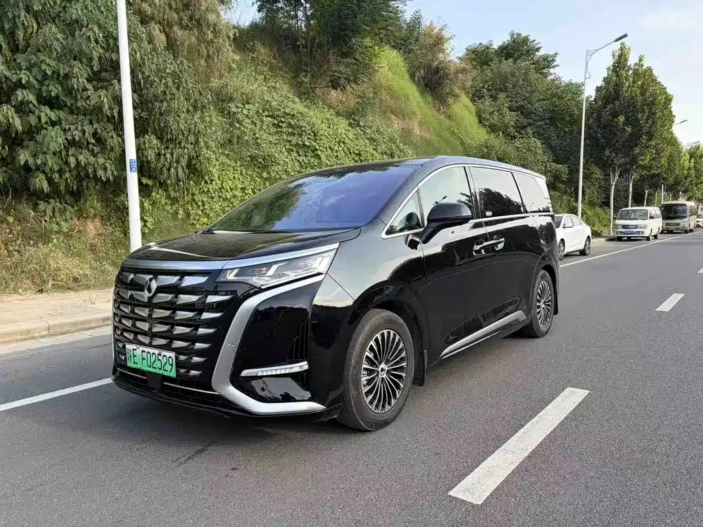 Denza D9