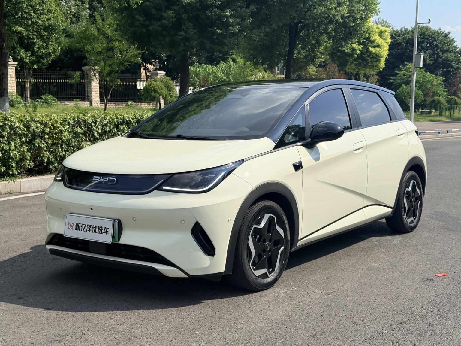 BYD Dolphin