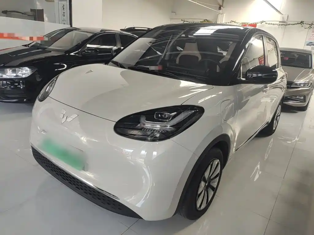 Wuling Binguo