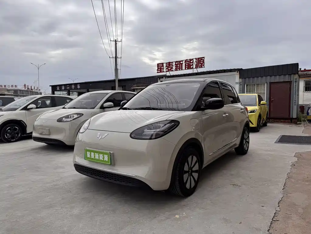 Wuling Binguo