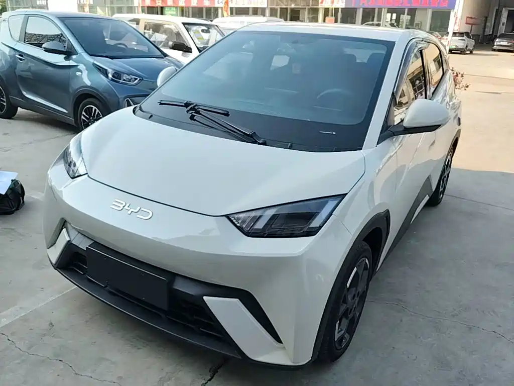 BYD Seagull