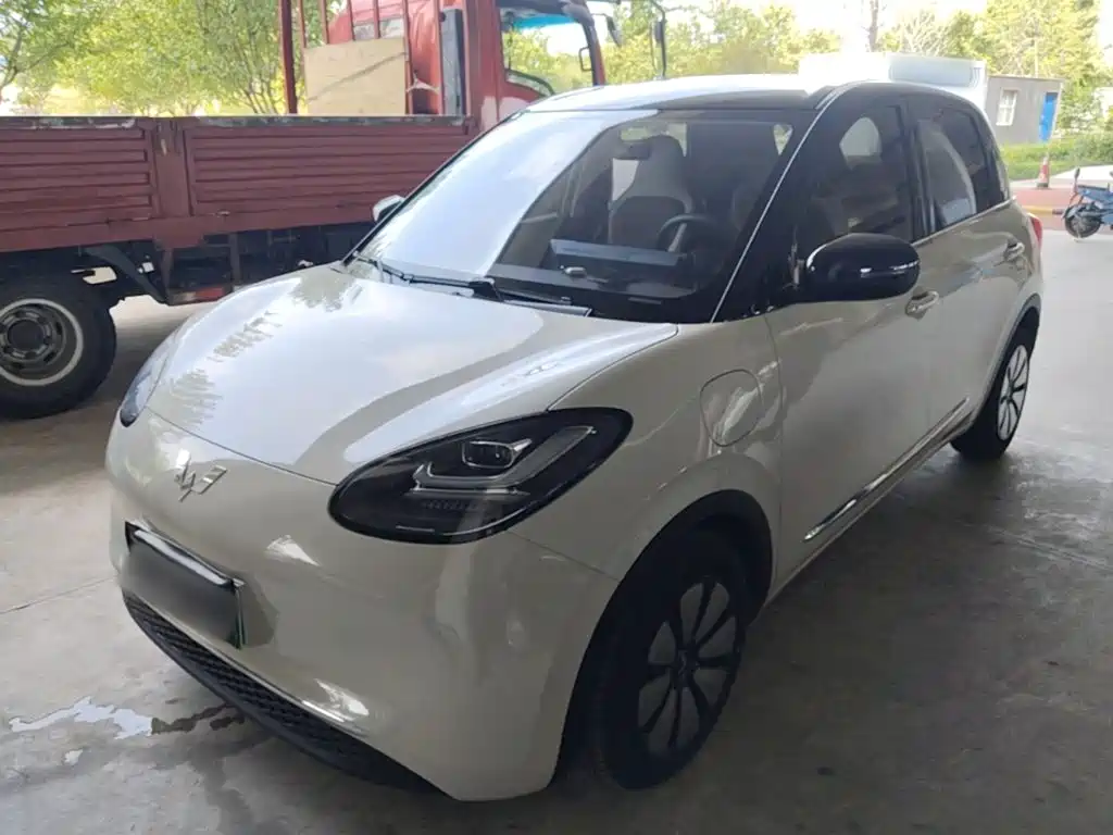 Wuling Binguo