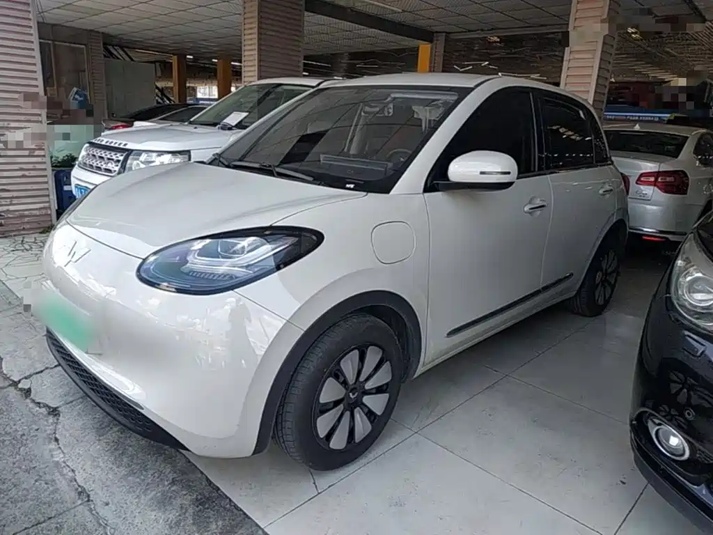 Wuling Binguo