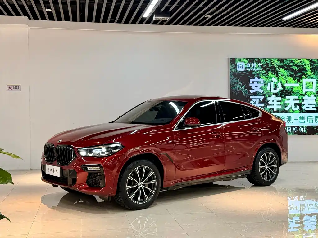 BMW X6