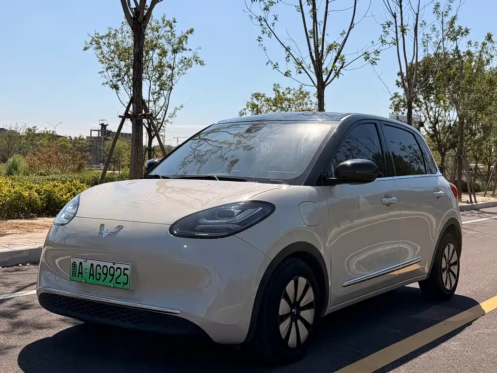 Wuling Binguo