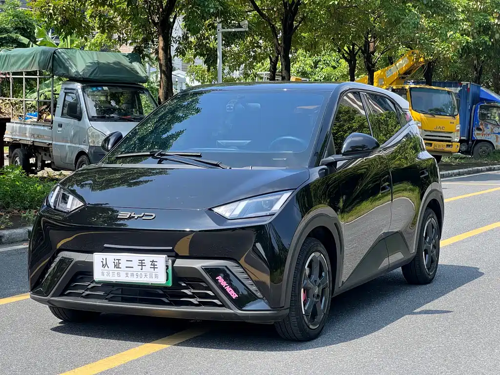 BYD Seagull