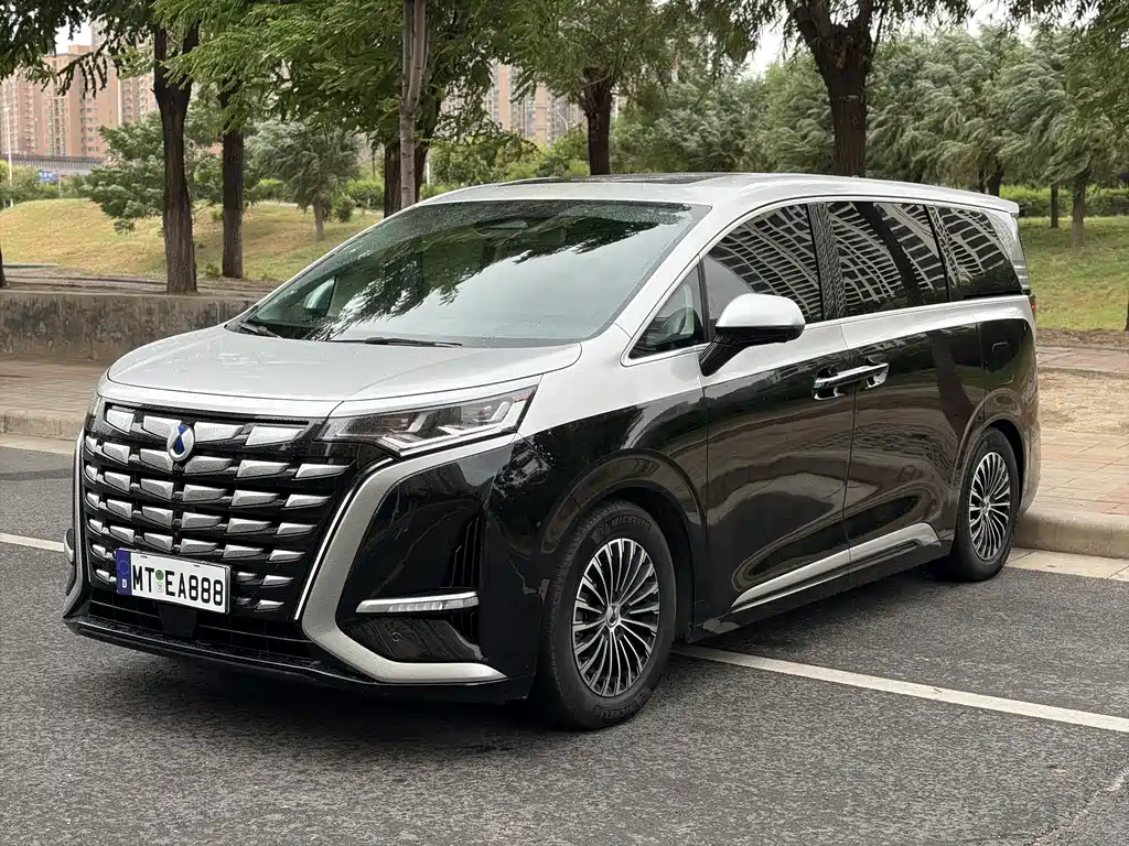 Denza D9