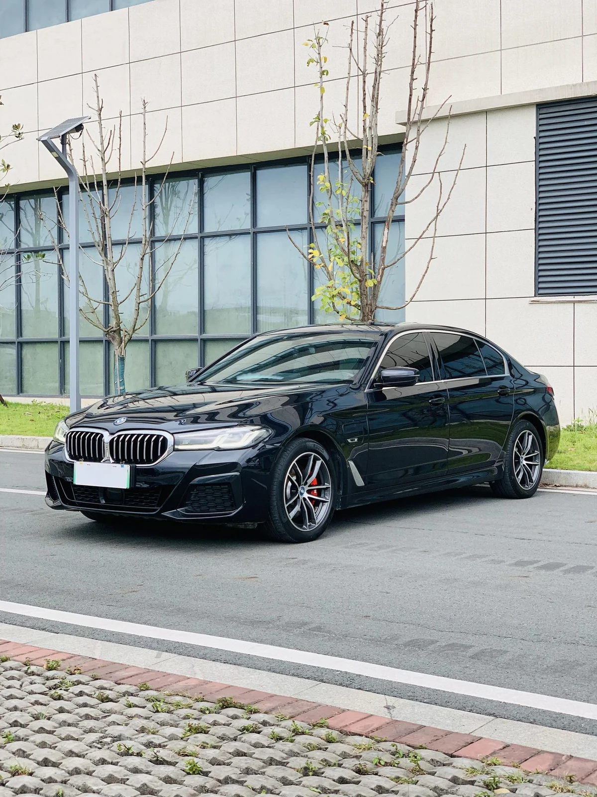 BMW 5 серииPHEV