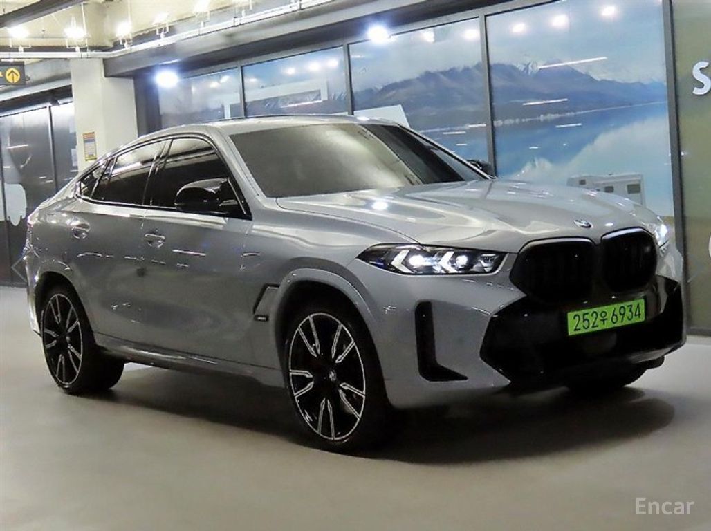 BMW X6