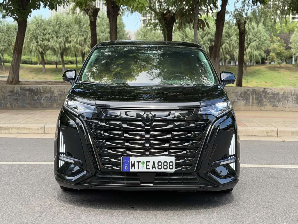 Denza D9