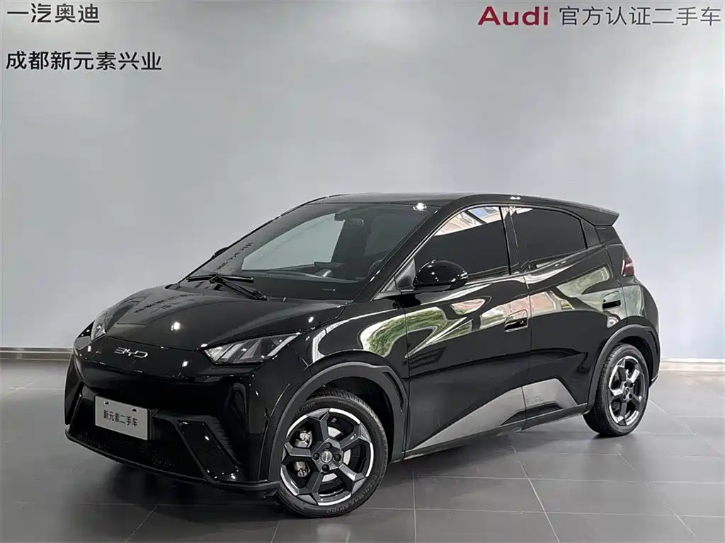 BYD Seagull