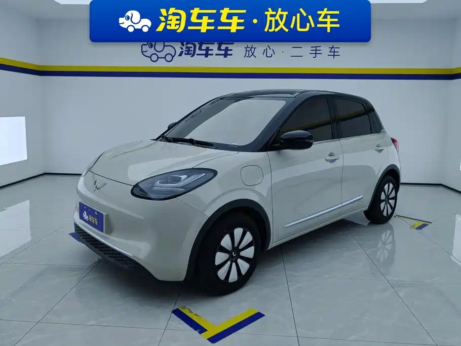 Wuling Binguo