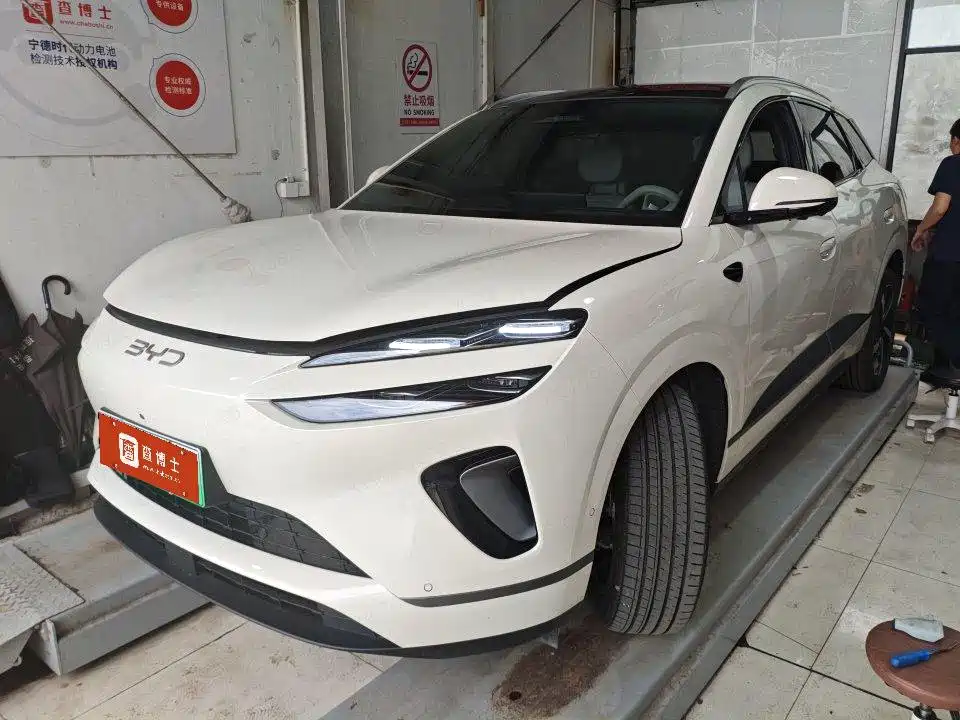 BYD Sea Lion 06