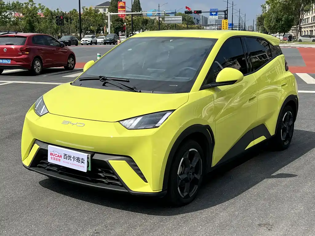 BYD Seagull