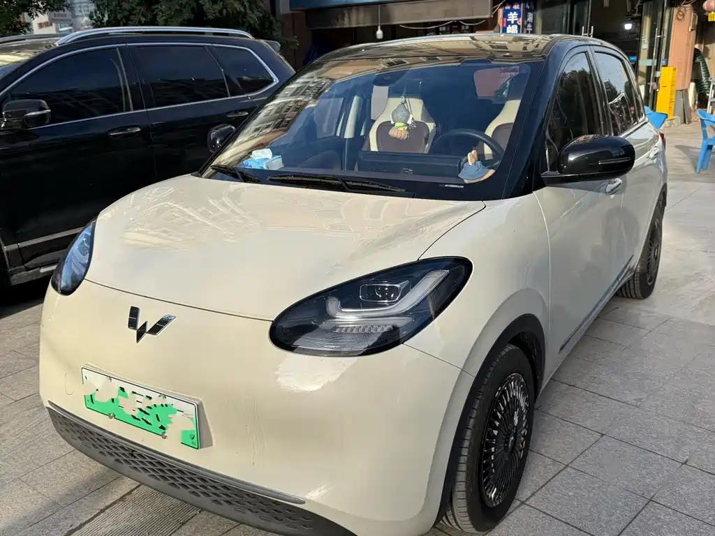 Wuling Binguo