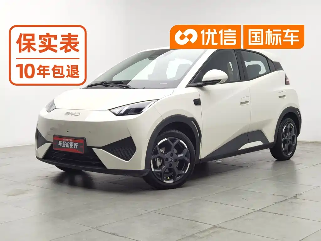 BYD Seagull