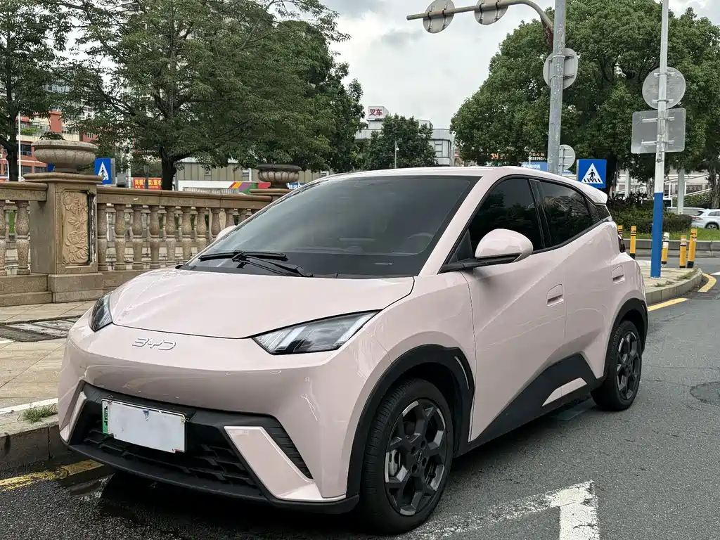 BYD Seagull