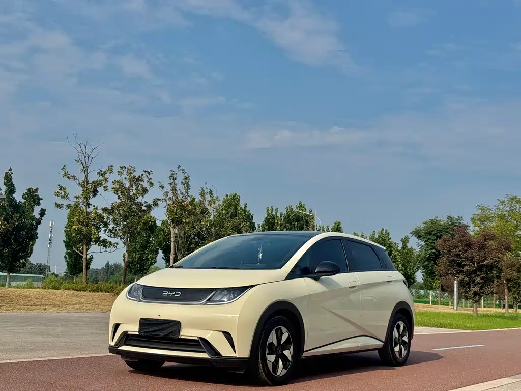 BYD Dolphin