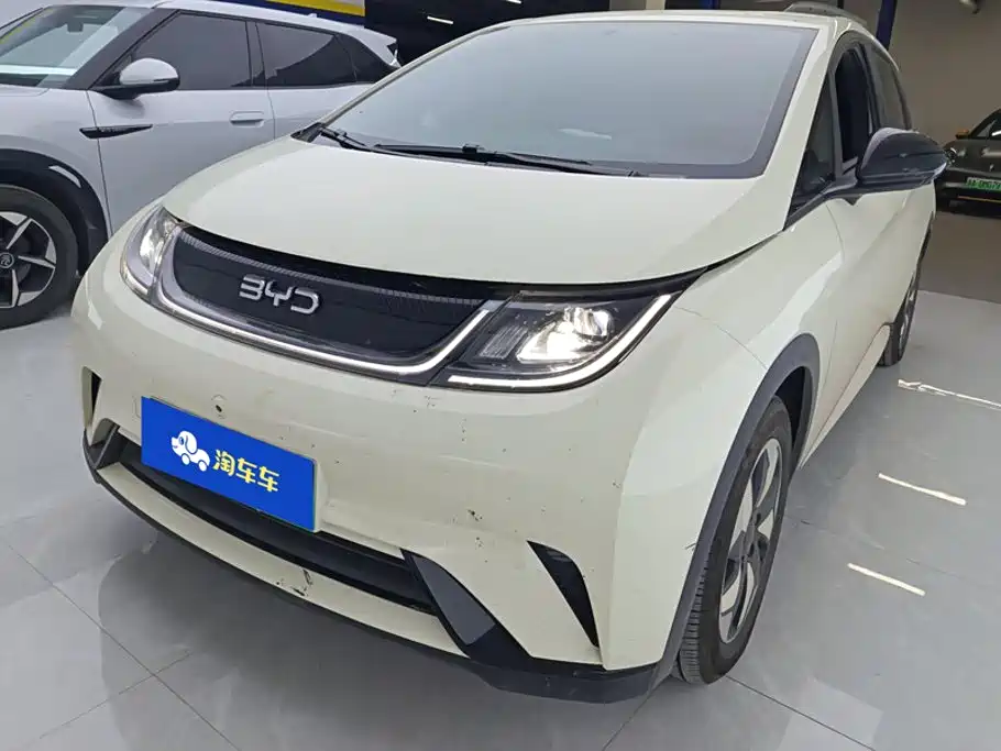 BYD Dolphin