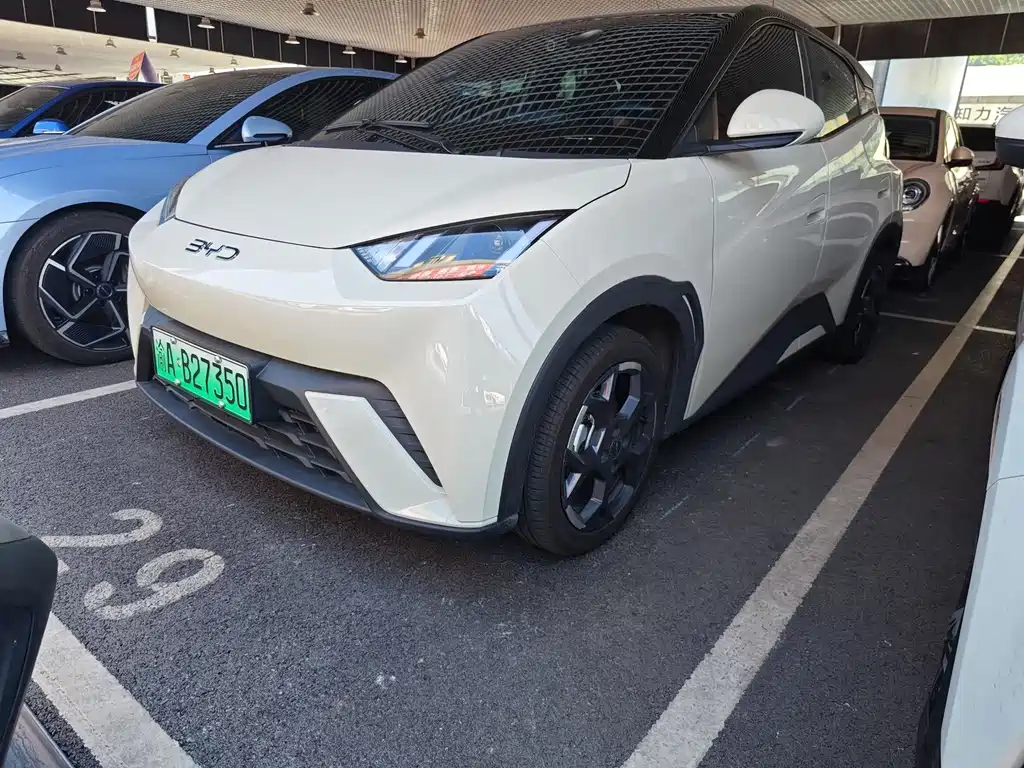 BYD Seagull