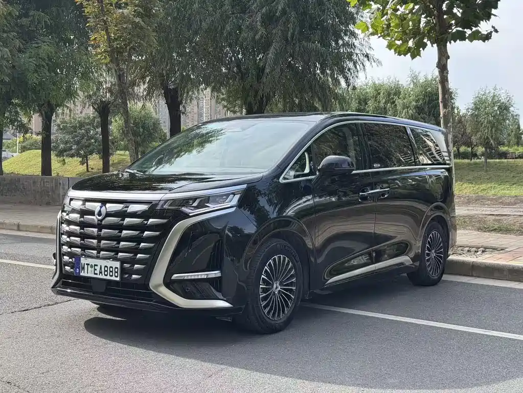 Denza D9