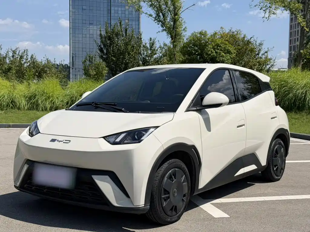 BYD Seagull