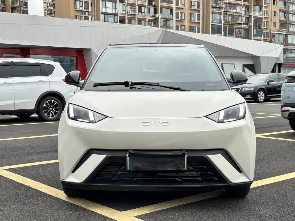 BYD Seagull