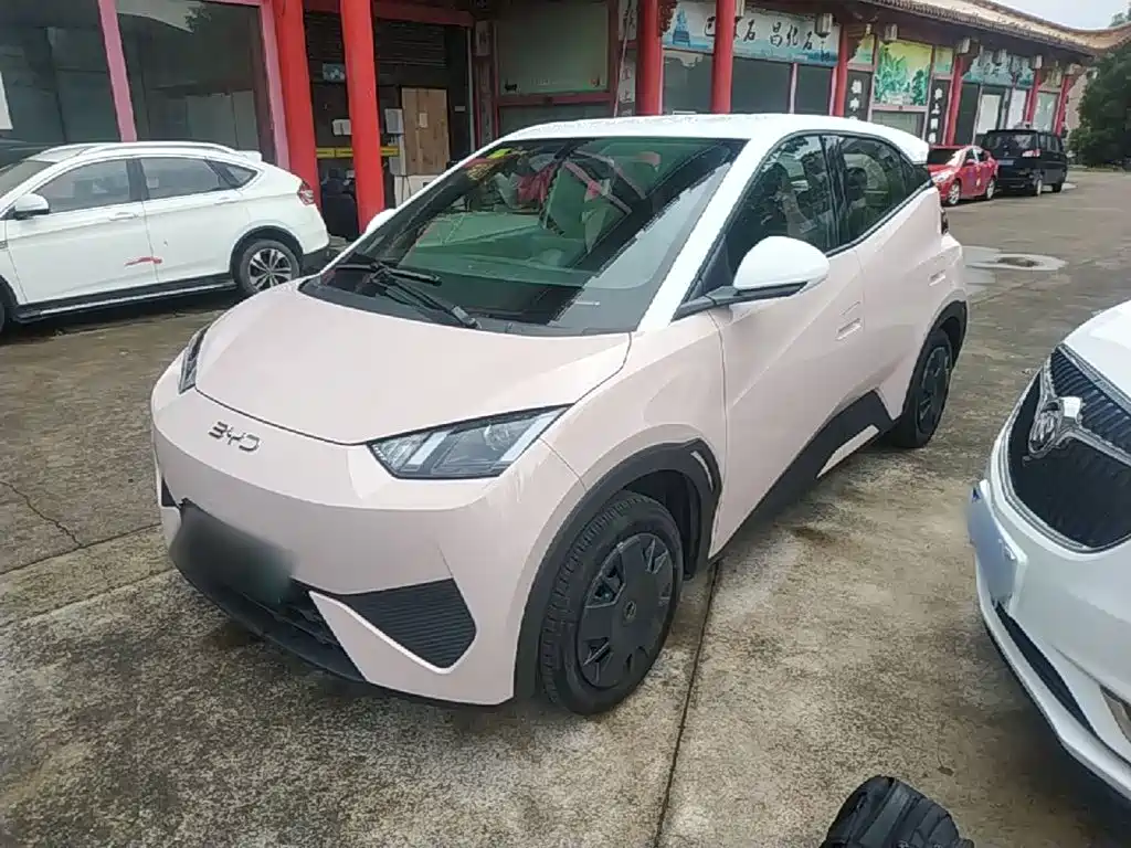 BYD Seagull