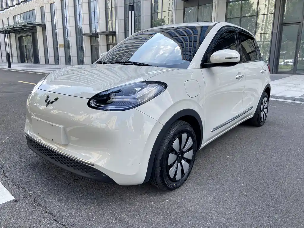 Wuling Binguo