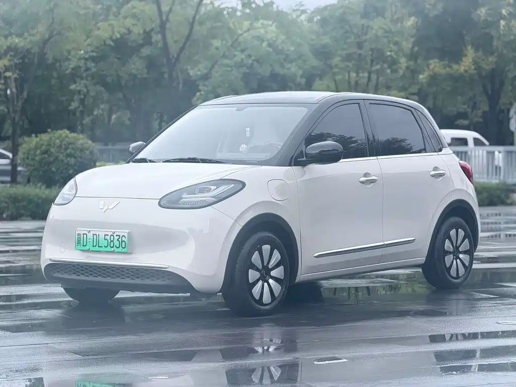 Wuling Binguo
