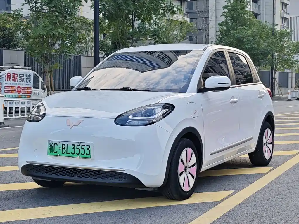 Wuling Binguo