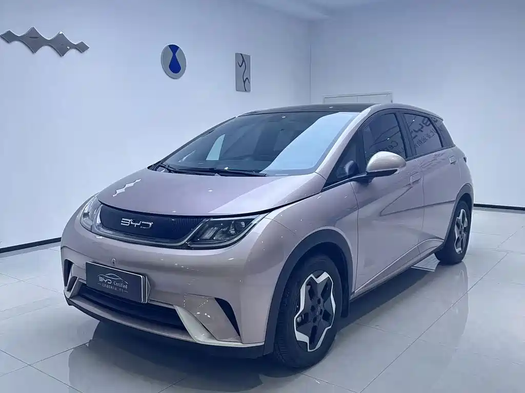 BYD Dolphin