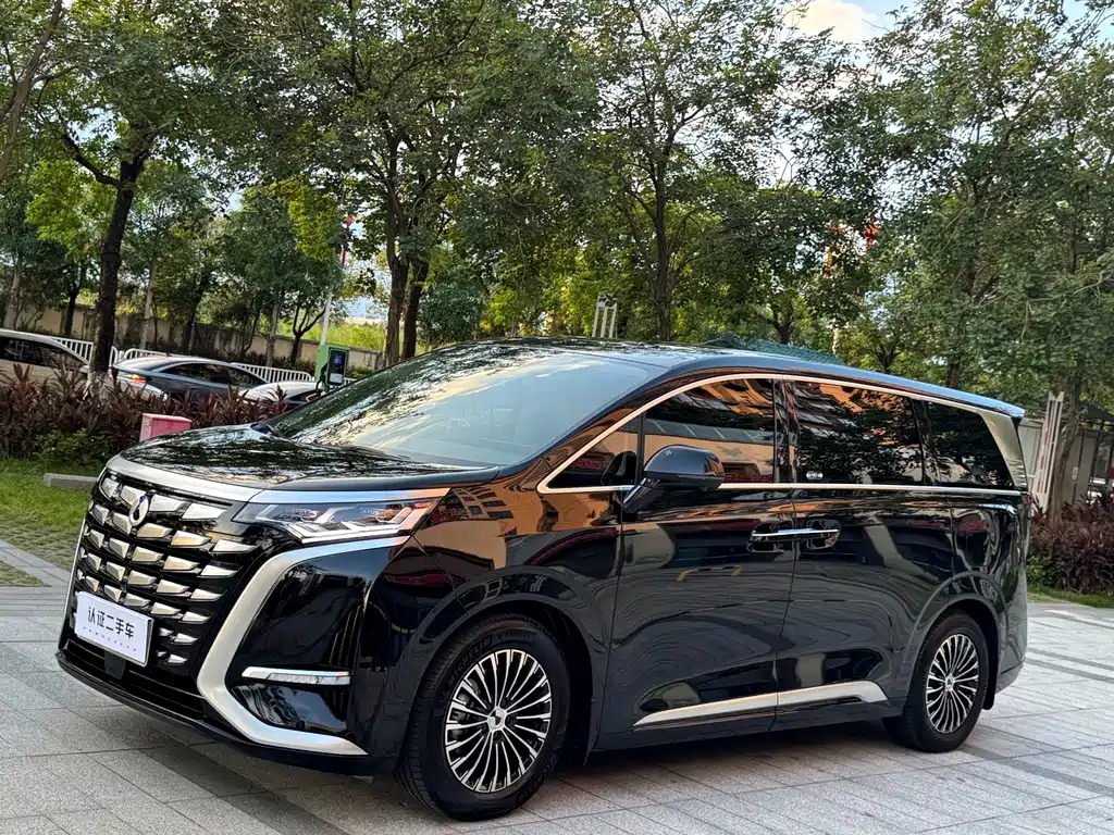 Denza D9