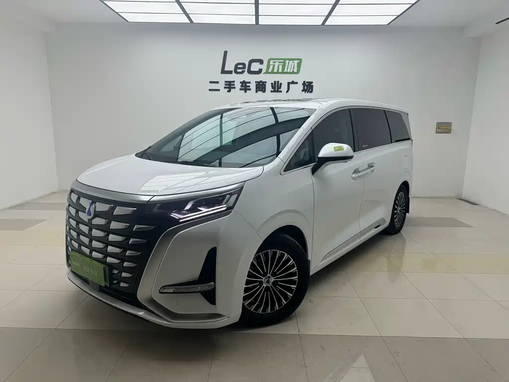 Denza D9