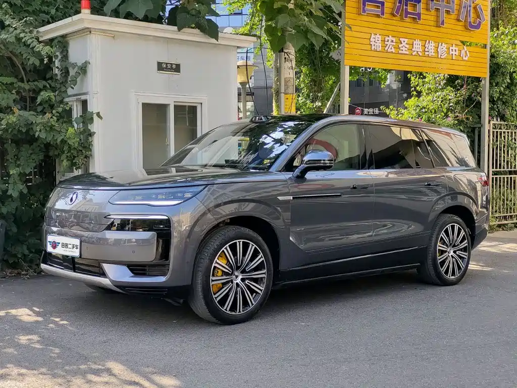 Denza N9